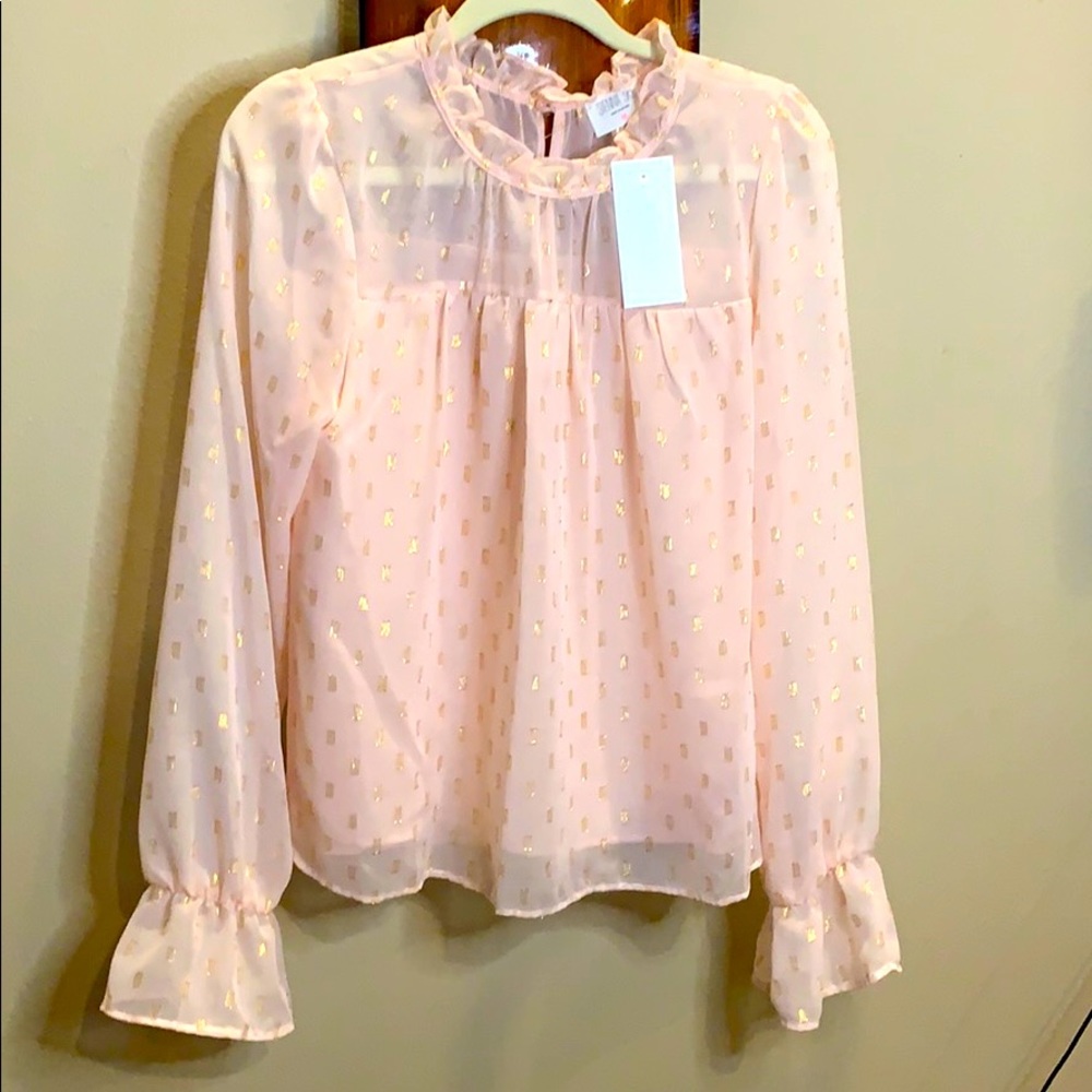 Sienna Sky Pink and with Gold embroidery Blouse